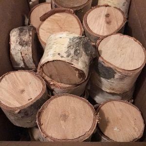 Birch Tree Stumps